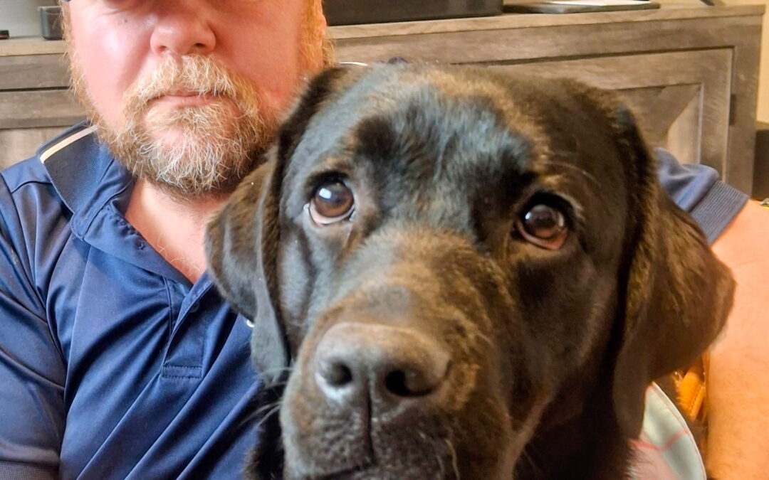 Guide Dog Ember & George