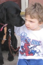CVC Dog Lilly