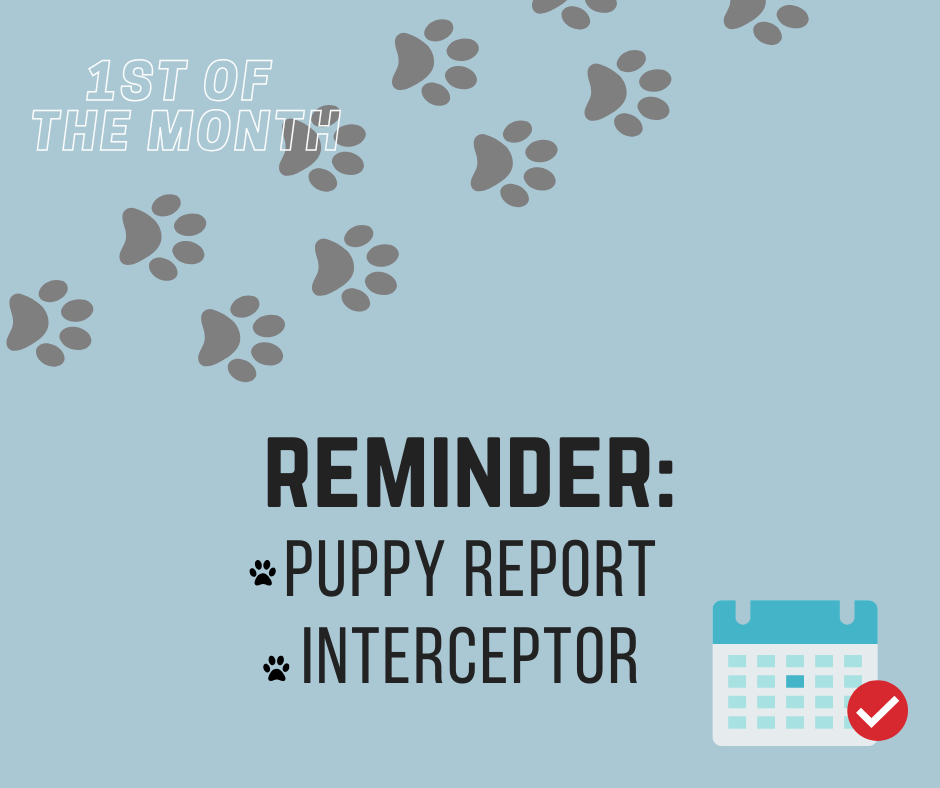 1st of the Month Reminder 1
