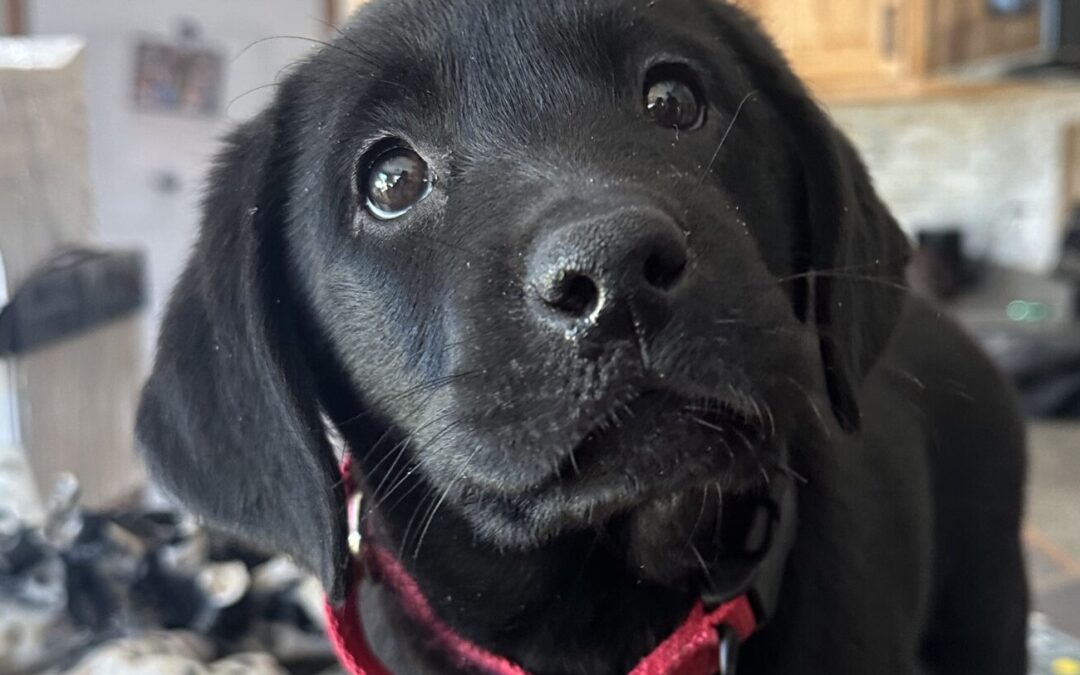 The Captain’s Guiding “Sadie”