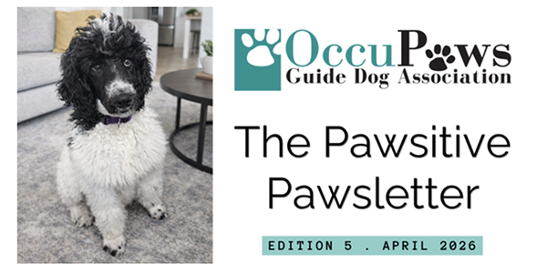 A black-and-white curly-haired dog sits on a gray rug indoors with a purple collar, beside the OccuPaws Guide Dog Association logo and the newsletter title 'The Pawsitive Pawsletter' and 'Edition 5 • April 2026'