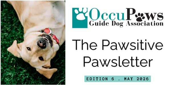Golden retriever lying on grass beside the OccuPaws Guide Dog Association logo and the newsletter title 'The Pawsitive Pawletter' — Edition 6, May 2026.