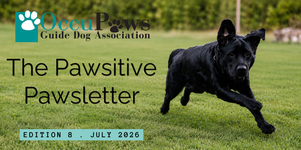 Banner for Guide Dog Association newsletter 'The Pawsitive Pawsletter' featuring a black dog running on grass, with 'Edition 8 • July 2026' text.