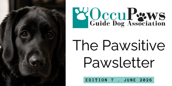 Newsletter cover for The Pawsitive Pawssletter by OccuPaws Guide Dog Association, featuring a black dog on the left and edition details (Edition 7 — June 2026) on the right.