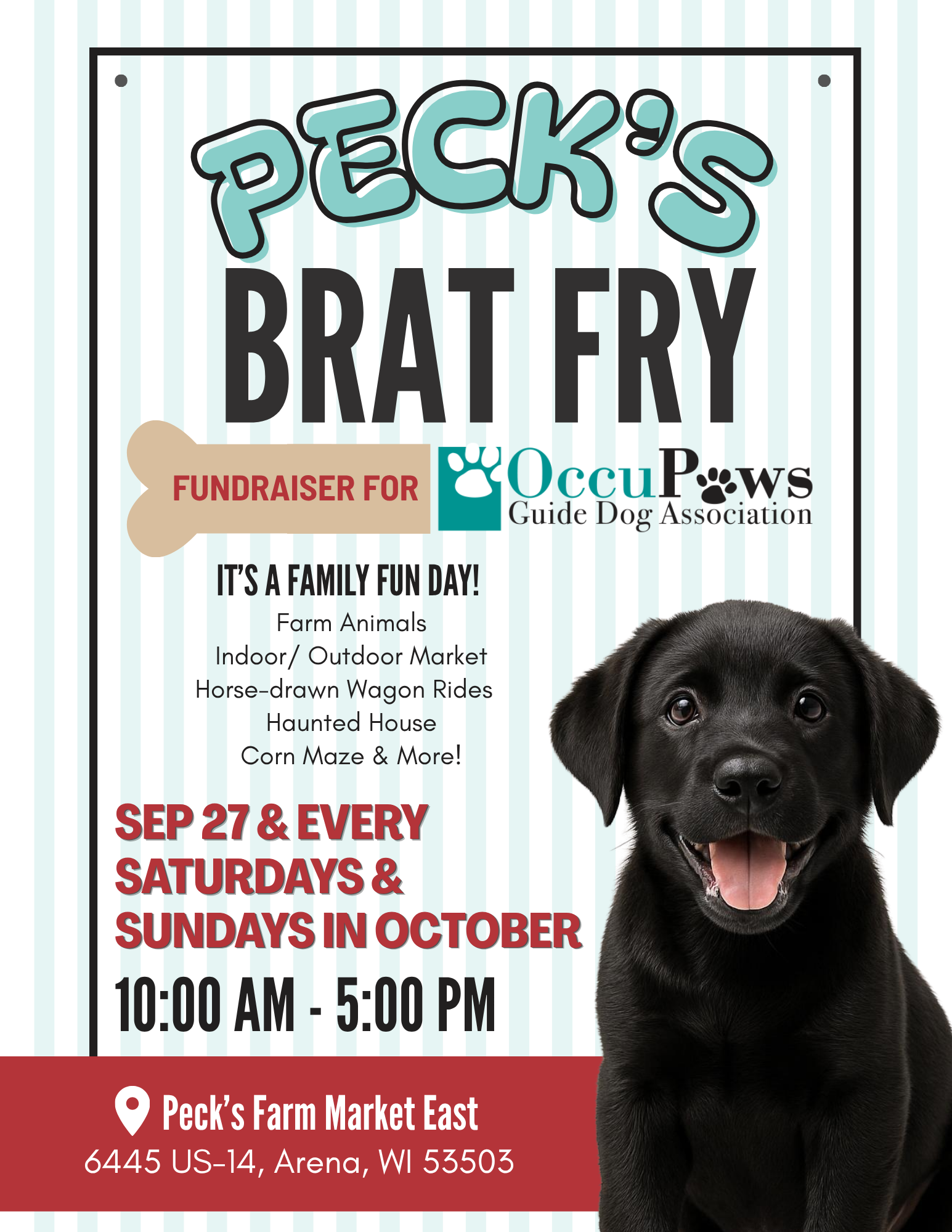 Poster advertising Peck's Brat Fry fundraiser for OccuPaws Guide Dog Association, featuring a happy black dog and event details.