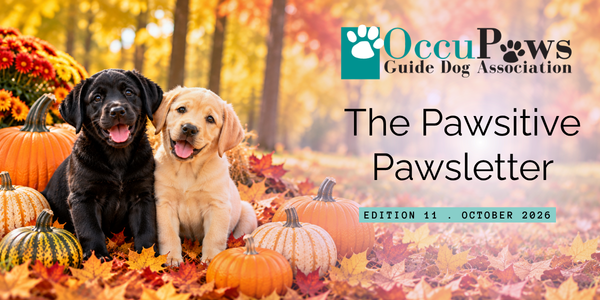 Two puppies (black and cream) sit among pumpkins on a colorful autumn forest floor, with the OccuPaws Guide Dog Association logo and the headline 'The Pawsitive Pawsletter' and a badge reading 'Edition 11 • October 2026'