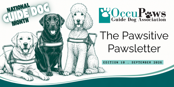 Newsletter cover for The Pawsitive Pawsletter by OccuPaws Guide Dog Association, featuring three harnessed guide dogs and a National Guide Dog Month banner; edition 10, Sept 2026